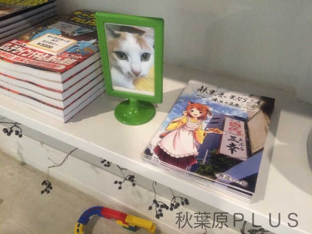 zp_2016-06-19 13.24.11