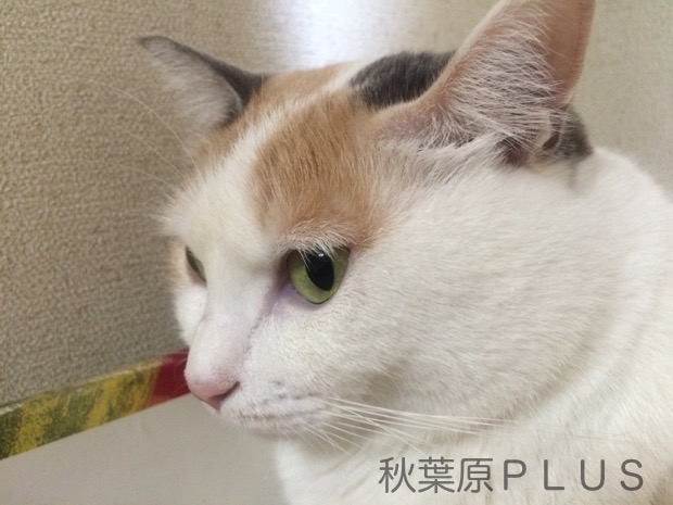 zp_2016-07-23 12.50.11