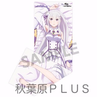 zp_hs%e7%89%b9%e5%85%b8