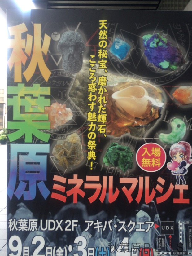 zp_2016-09-04 12.20.09